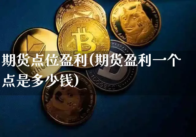 期货点位盈利(期货盈利一个点是多少钱)_https://www.xjzxxn66.com_未分类_第1张