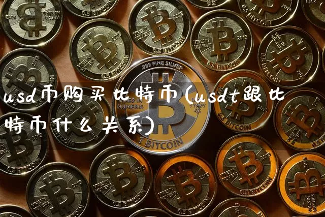 usd币购买比特币(usdt跟比特币什么关系)_https://www.xjzxxn66.com_区块链_第1张
