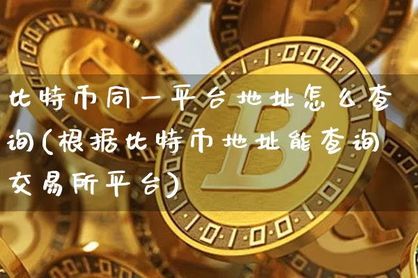比特币同一平台地址怎么查询(根据比特币地址能查询交易所平台)_https://www.xjzxxn66.com_币圈资讯_第1张