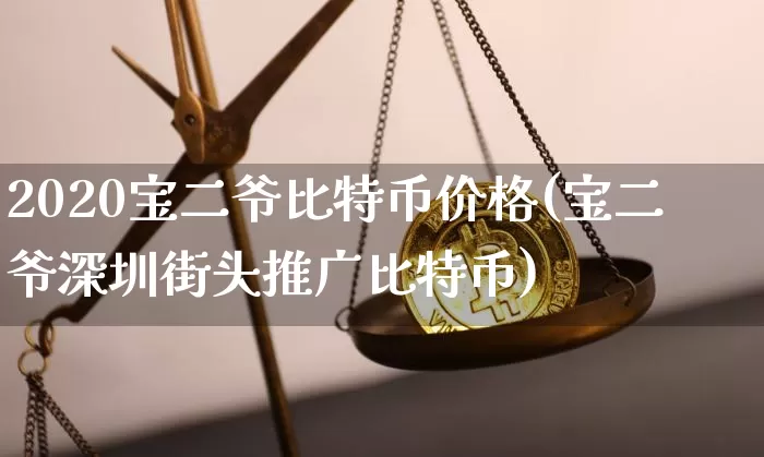 2020宝二爷比特币价格(宝二爷深圳街头推广比特币)_https://www.xjzxxn66.com_币圈资讯_第1张