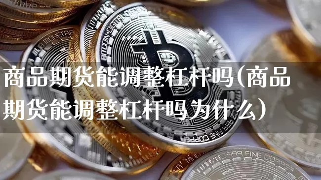 商品期货能调整杠杆吗(商品期货能调整杠杆吗为什么)_https://www.xjzxxn66.com_币圈资讯_第1张