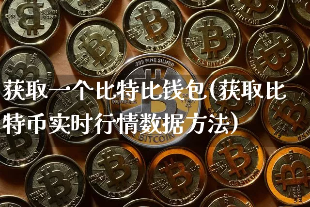 获取一个比特比钱包(获取比特币实时行情数据方法)_https://www.xjzxxn66.com_币圈资讯_第1张
