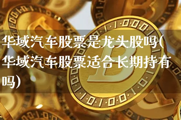 华域汽车股票是龙头股吗(华域汽车股票适合长期持有吗)_币圈资讯_第1张_相聚币圈 华域汽车股票是龙头股吗(华域汽车股票适合长期持有吗)_https://www.xjzxxn66.com_币圈资讯_第1张