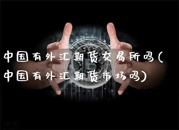 中国有外汇期货交易所吗(中国有外汇期货市场吗)_https://www.xjzxxn66.com_币圈资讯_第1张