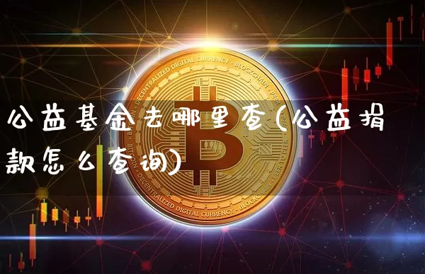 公益基金去哪里查(公益捐款怎么查询)_https://www.xjzxxn66.com_未分类_第1张
