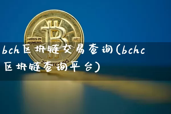 bch区块链交易查询(bchc区块链查询平台)_https://www.xjzxxn66.com_币圈资讯_第1张