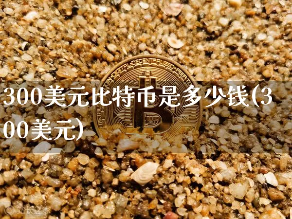 300美元比特币是多少钱(300美元)_https://www.xjzxxn66.com_以太坊_第1张