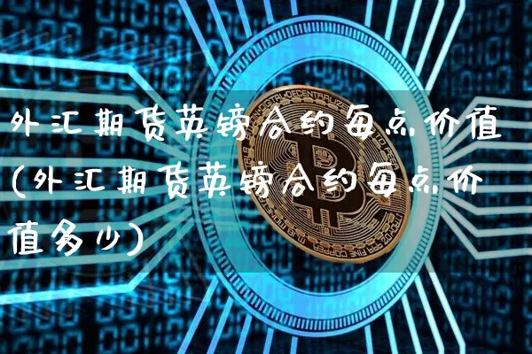 外汇期货英镑合约每点价值(外汇期货英镑合约每点价值多少)_https://www.xjzxxn66.com_币圈资讯_第1张