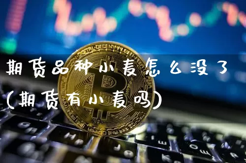 期货品种小麦怎么没了(期货有小麦吗)_https://www.xjzxxn66.com_未分类_第1张