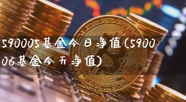 590005基金今日净值(590006基金今天净值)_https://www.xjzxxn66.com_币圈资讯_第1张