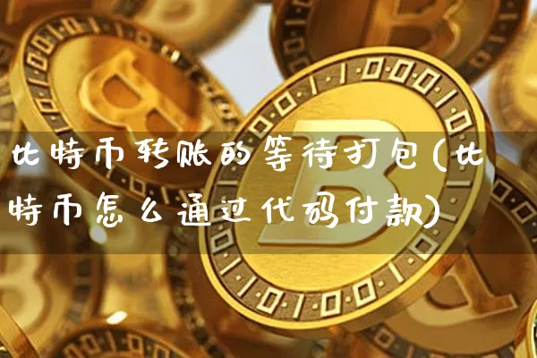 比特币转账的等待打包(比特币怎么通过代码付款)_https://www.xjzxxn66.com_比特币_第1张