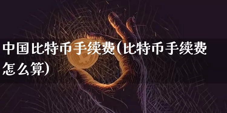 中国比特币手续费(比特币手续费怎么算)_https://www.xjzxxn66.com_币圈资讯_第1张
