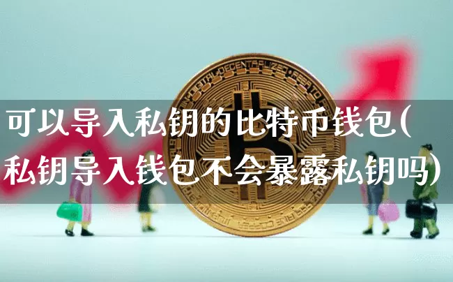 可以导入私钥的比特币钱包(私钥导入钱包不会暴露私钥吗)_https://www.xjzxxn66.com_币圈资讯_第1张