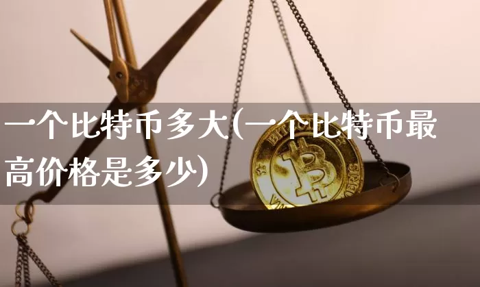一个比特币多大(一个比特币最高价格是多少)_https://www.xjzxxn66.com_币圈资讯_第1张