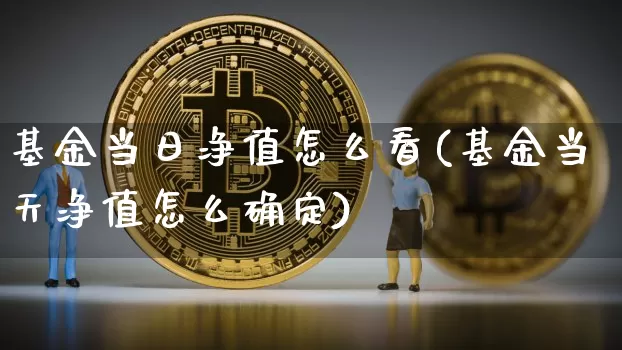 基金当日净值怎么看(基金当天净值怎么确定)_区块链_第1张_相聚币圈 基金当日净值怎么看(基金当天净值怎么确定)_https://www.xjzxxn66.com_区块链_第1张
