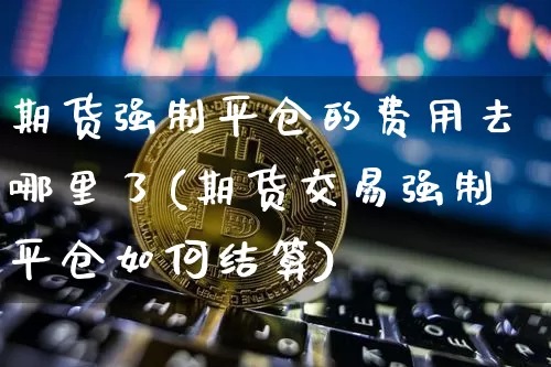 期货强制平仓的费用去哪里了(期货交易强制平仓如何结算)_币圈资讯_第1张_相聚币圈 期货强制平仓的费用去哪里了(期货交易强制平仓如何结算)_https://www.xjzxxn66.com_币圈资讯_第1张
