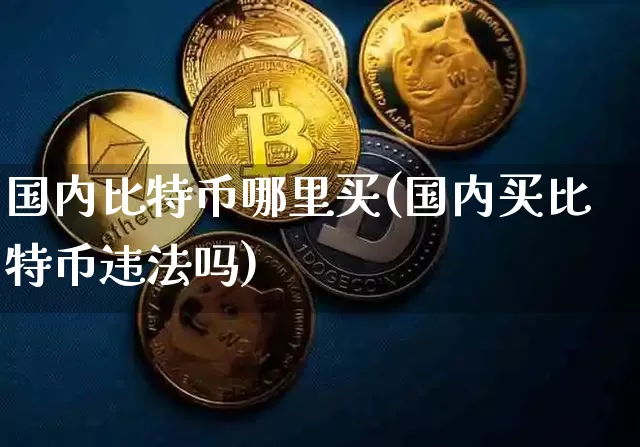 国内比特币哪里买(国内买比特币违法吗)_https://www.xjzxxn66.com_币圈资讯_第1张