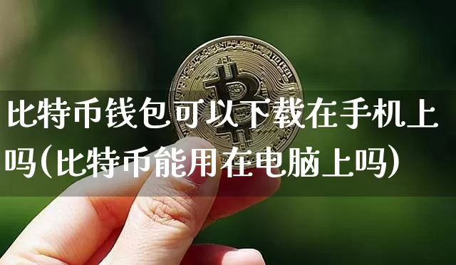 比特币钱包可以下载在手机上吗(比特币能用在电脑上吗)_https://www.xjzxxn66.com_币圈资讯_第1张