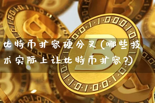 比特币扩容硬分叉(哪些技术实际上让比特币扩容?)_https://www.xjzxxn66.com_币圈资讯_第1张