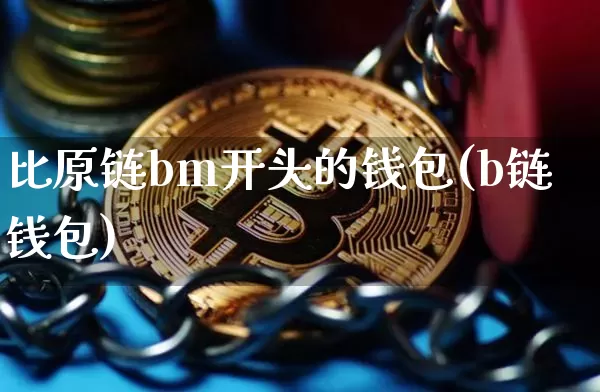 比原链bm开头的钱包(b链钱包)_https://www.xjzxxn66.com_区块链_第1张