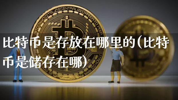 比特币是存放在哪里的(比特币是储存在哪)_https://www.xjzxxn66.com_币圈资讯_第1张