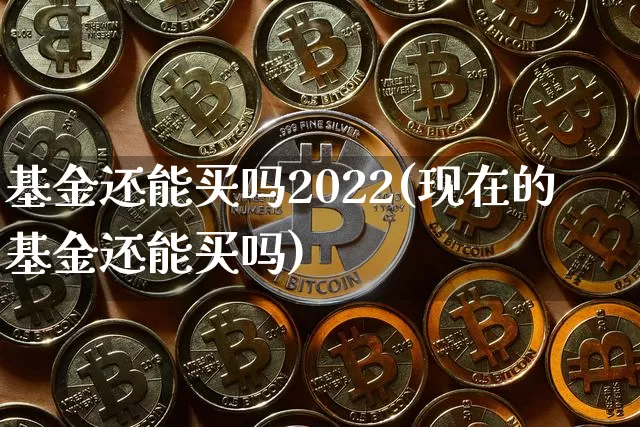基金还能买吗2022(现在的基金还能买吗)_https://www.xjzxxn66.com_未分类_第1张