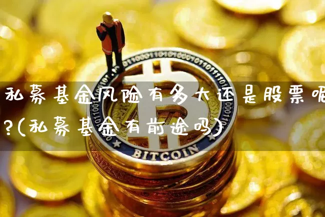 私募基金风险有多大还是股票呢?(私募基金有前途吗)_https://www.xjzxxn66.com_比特币_第1张