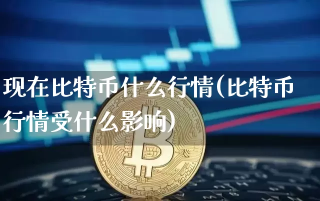 现在比特币什么行情(比特币行情受什么影响)_https://www.xjzxxn66.com_币圈资讯_第1张