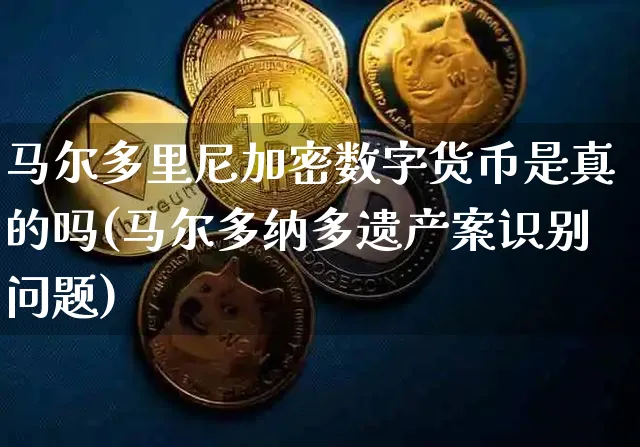 马尔多里尼加密数字货币是真的吗(马尔多纳多遗产案识别问题)_https://www.xjzxxn66.com_币圈资讯_第1张
