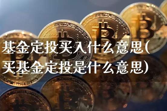 基金定投买入什么意思(买基金定投是什么意思)_https://www.xjzxxn66.com_区块链_第1张
