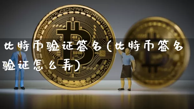 比特币验证签名(比特币签名验证怎么弄)_https://www.xjzxxn66.com_比特币_第1张