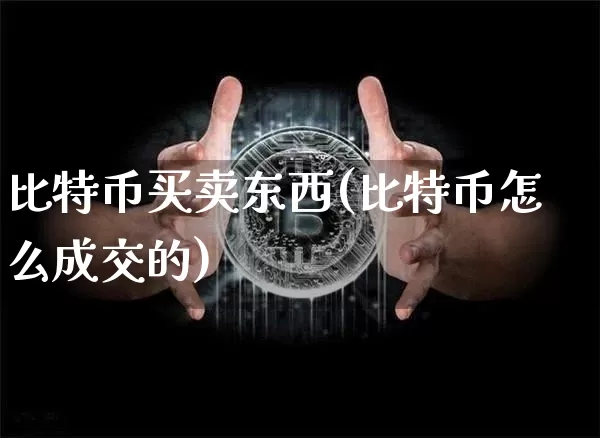 比特币买卖东西(比特币怎么成交的)_https://www.xjzxxn66.com_币圈资讯_第1张