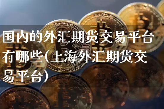 国内的外汇期货交易平台有哪些(上海外汇期货交易平台)_区块链_第1张_相聚币圈 国内的外汇期货交易平台有哪些(上海外汇期货交易平台)_https://www.xjzxxn66.com_区块链_第1张