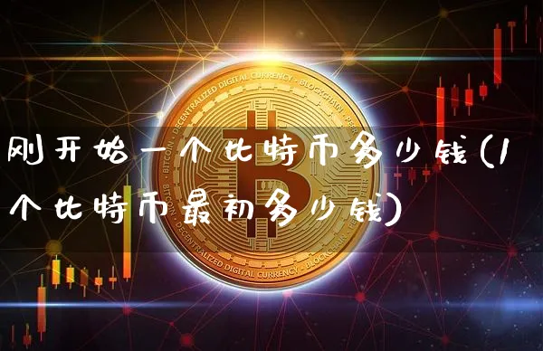 刚开始一个比特币多少钱(1个比特币最初多少钱)_https://www.xjzxxn66.com_币圈资讯_第1张