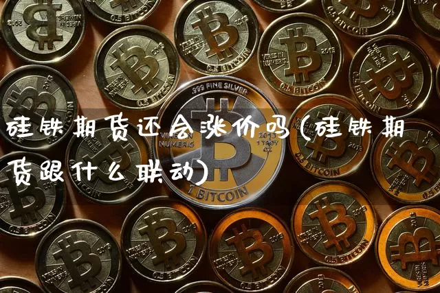 硅铁期货还会涨价吗(硅铁期货跟什么联动)_https://www.xjzxxn66.com_币圈资讯_第1张