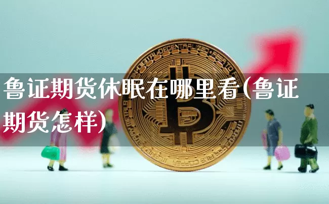 鲁证期货休眠在哪里看(鲁证期货怎样)_比特币_第1张_相聚币圈 鲁证期货休眠在哪里看(鲁证期货怎样)_https://www.xjzxxn66.com_比特币_第1张