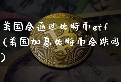 美国会通过比特币etf(美国加息比特币会跌吗)_https://www.xjzxxn66.com_币圈资讯_第1张