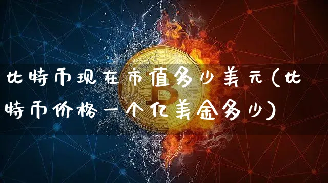 比特币现在市值多少美元(比特币价格一个亿美金多少)_https://www.xjzxxn66.com_区块链_第1张