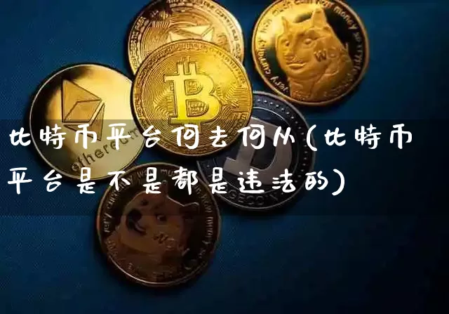 比特币平台何去何从(比特币平台是不是都是违法的)_https://www.xjzxxn66.com_比特币_第1张