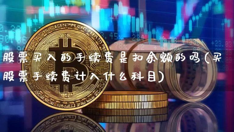股票买入的手续费是扣余额的吗(买股票手续费计入什么科目)_https://www.xjzxxn66.com_币圈资讯_第1张