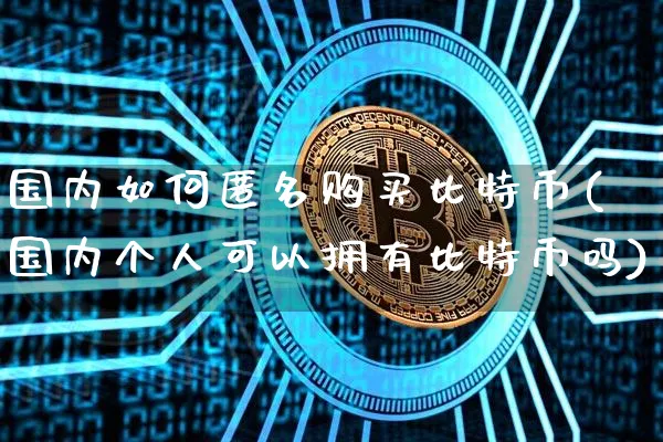 国内如何匿名购买比特币(国内个人可以拥有比特币吗)_https://www.xjzxxn66.com_币圈资讯_第1张