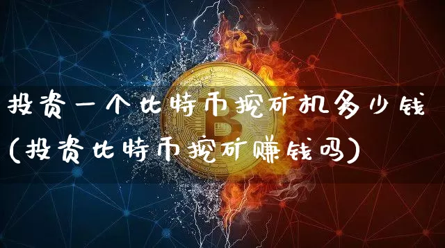 投资一个比特币挖矿机多少钱(投资比特币挖矿赚钱吗)_https://www.xjzxxn66.com_比特币_第1张