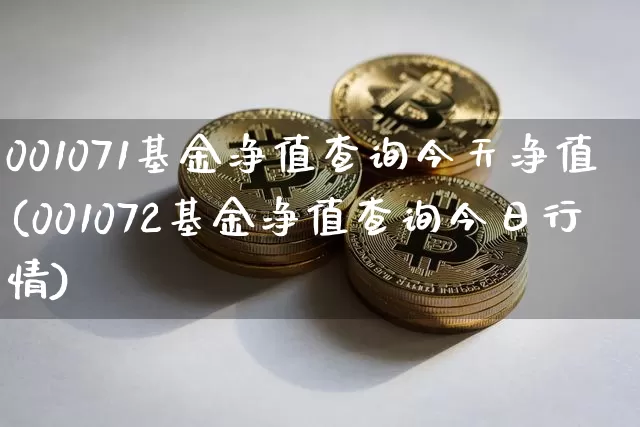 001071基金净值查询今天净值(001072基金净值查询今日行情)_未分类_第1张_相聚币圈 001071基金净值查询今天净值(001072基金净值查询今日行情)_https://www.xjzxxn66.com_未分类_第1张