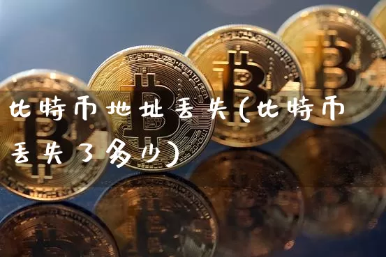 比特币地址丢失(比特币丢失了多少)_https://www.xjzxxn66.com_币圈资讯_第1张