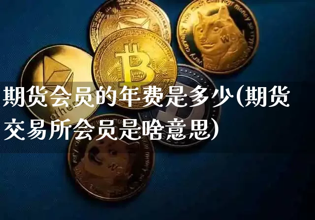 期货会员的年费是多少(期货交易所会员是啥意思)_https://www.xjzxxn66.com_币圈资讯_第1张
