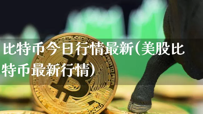 比特币今日行情最新(美股比特币最新行情)_https://www.xjzxxn66.com_币圈资讯_第1张