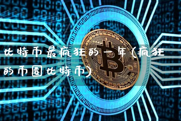 比特币最疯狂的一年(疯狂的币圈比特币)_https://www.xjzxxn66.com_币圈资讯_第1张