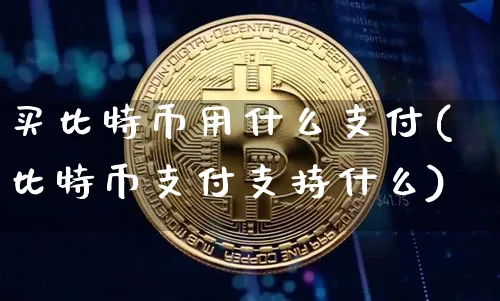 买比特币用什么支付(比特币支付支持什么)_https://www.xjzxxn66.com_以太坊_第1张