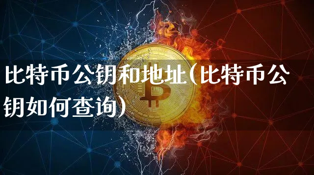 比特币公钥和地址(比特币公钥如何查询)_https://www.xjzxxn66.com_以太坊_第1张