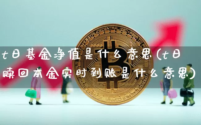 t日基金净值是什么意思(t日赎回本金实时到账是什么意思)_https://www.xjzxxn66.com_区块链_第1张